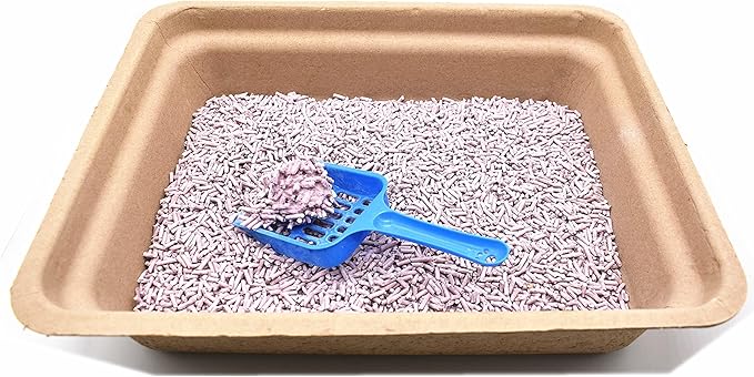 Disposable Cat Litter Box(15 Pack of Trays)(Suitable for Cat, Hamster, Guinea Pig, Mice, Rabbit Eco Friendly 100% Recycled Paper Trays,16.7 * 13.4 * 4.0Inches
