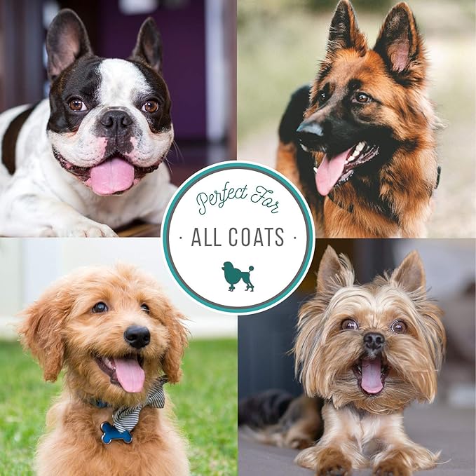 Nature's Specialties Odor Terminator Dog Spray for Pets, Natural Choice for Professional Groomers, Eliminates Bad Odors, Made in USA, 16 oz