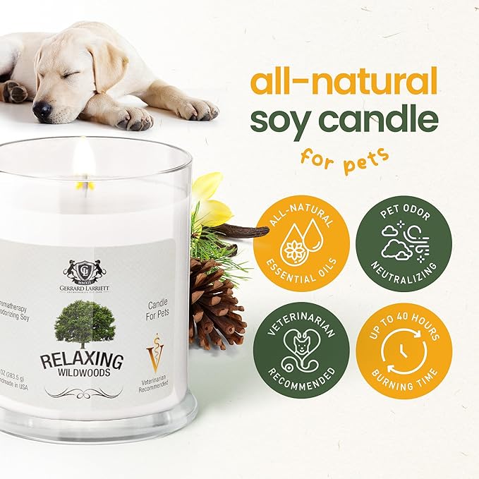 Pet Odor Eliminator Candle Relaxing Wildwoods Scented Candles for Home Decor - Calming Candles Aromatherapy, Soy Wax Pet Candles Odor Eliminator for Home - Pet Friendly Candles by Gerrard Larriett