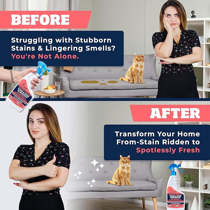 Extreme Strength Pet Stain & Odor Eliminator for Busy Pet Parents | Neutralize Tough Stains & Odors | Orange and Lemon for Deep Clean | Perfect for Cats & Dogs | 2-pk. 20-oz bottles - Nuesta Pets