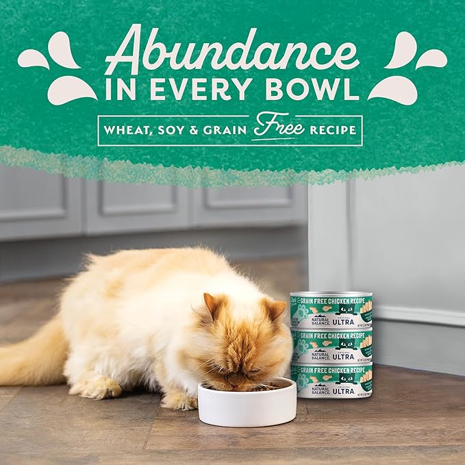 Natural Balance Original Ultra Grain Free Adult Wet Canned Cat Food, Chicken Recipe, 5.5 Ounce (Pack of 24)