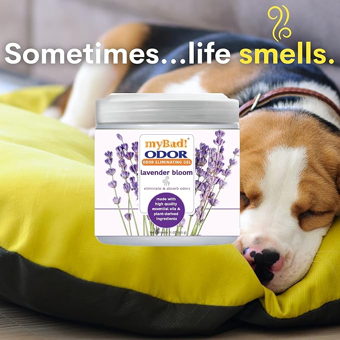 Odor Eliminator Essential Oil Gel Beads 15 oz - Air Freshener - Eliminates Odors in Bathroom, Pet Area, Closets, RVs, Pet Areas (Lavender Bloom, 2 Pack)