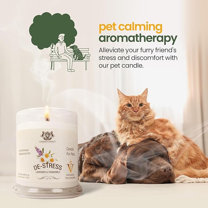 Pet Odor Eliminator Candle Lavender and Chamomile Scented Candles for Home Decor - Calming Candles Aromatherapy, Soy Wax Pet Candles Odor Eliminator for Home - Pet Friendly Candles by Gerrard Larriett