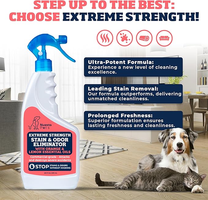 Extreme Strength Pet Stain & Odor Eliminator for Busy Pet Parents | Neutralize Tough Stains & Odors | Orange and Lemon for Deep Clean | Perfect for Cats & Dogs | 2-pk. 20-oz bottles - Nuesta Pets