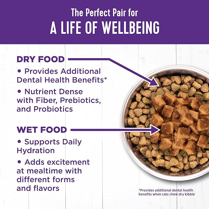 Wellness Complete Health Natural Grain Free Wet Canned Cat Food, Cubed Chicken Entrée in Rich Gravy, 5.5-Ounce Can (Pack of 24)