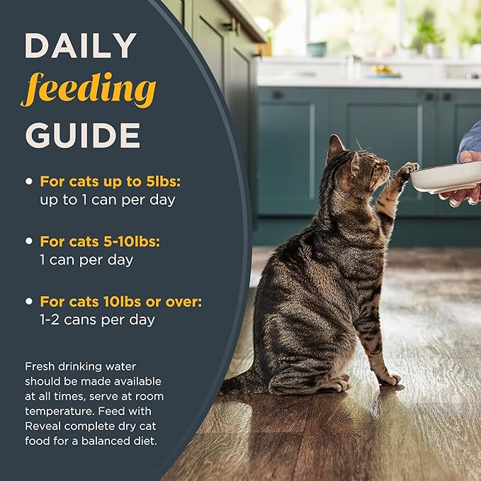 Reveal - Grain Free | Wet Canned Cat Food | 2.47oz - 24 Pack - Premium Nutrition, 100% Natural, No Additives, and Limited Ingredients (Tuna with Salmon in Gravy)