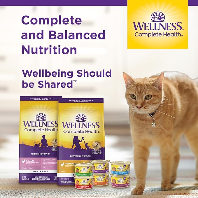 Wellness Complete Health Natural Grain Free Wet Canned Cat Food, Sliced Chicken Entrée in Rich Gravy, 5.5-Ounce Can (Pack of 24)