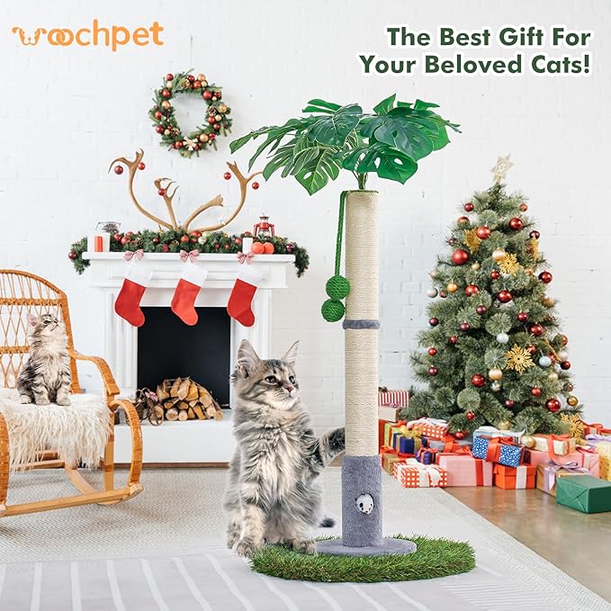 Cat Scratching Posts for All Cats with Hanging Ball and Sisal Rope Cat Toy, Simple Design - for Larger Cats - 35.43" Tall,Wooden Palm Tree Premium Basics Cat Toys Kitten(Grey