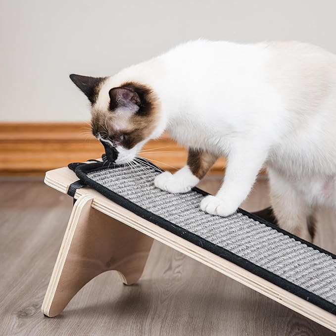 Kitty City Novelty Cat Scratchers, Ramp