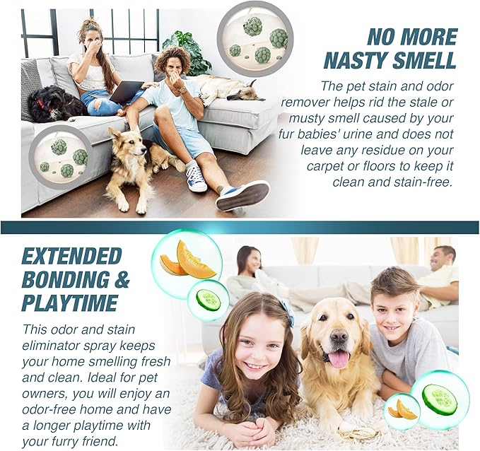 Advanced Pet Stain Remover - Dog Stain Remover and Odor Neutralizer with a Fresh, Clean Scent - Professional Strength Enzymatic Pet Carpet Cleaner Spray - Made in The USA - 32 Ounces