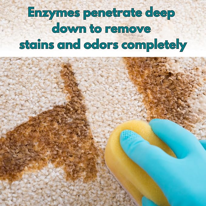 Pet Stain & Odor Remover - Fast-Acting Enzyme Cleaner for Dog & Cat Urine - Safe for Carpets, Floors, Furniture - Non-Toxic, Pet-Safe Formula - 1 Gallon
