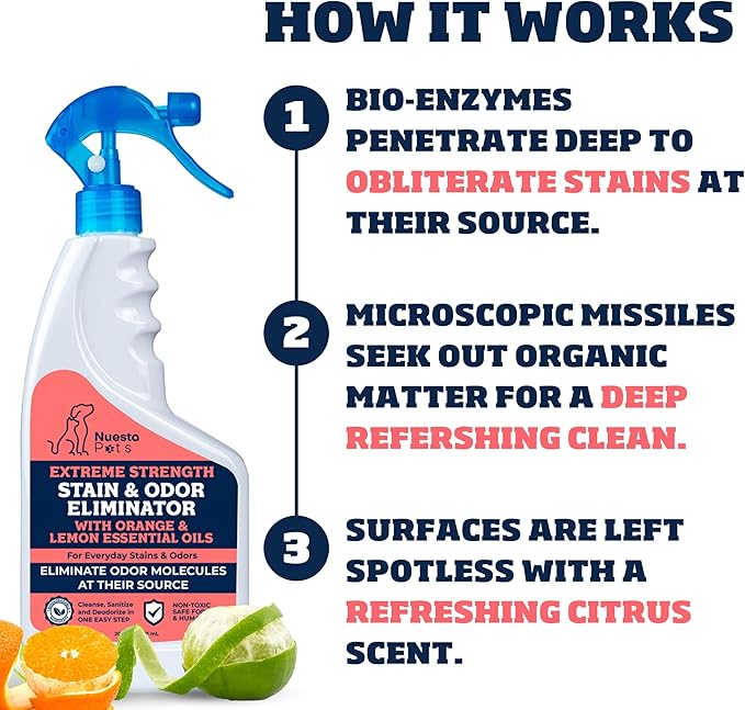 Extreme Strength Pet Stain & Odor Eliminator for Busy Pet Parents | Neutralize Tough Stains & Odors | Orange and Lemon for Deep Clean | Perfect for Cats & Dogs | 2-pk. 20-oz bottles - Nuesta Pets