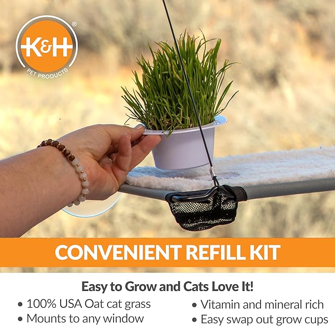 K&H Pet Products Cat Grass Grow Station Growing Cup Refills for K&H EZ Mount Products, Healthy Home Grown Grass Cat Toys for Bored Indoor Adult Kitties, Farmed in USA, Non-GMO - Refill ONLY, 2 Pack