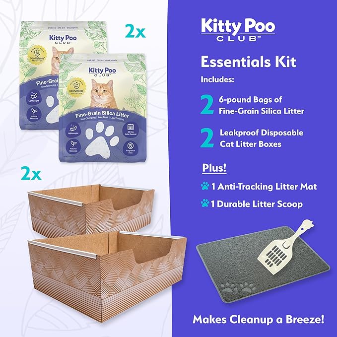 Leakproof Disposable 2-Pack Cat Litter Box with Accessories | Superior Odor Control & Recyclable Design | 2 Litter Box, 2-Pack of 6lbs Litter, Mat & Scoop |Multi-Cat Homes & Daily Use — Kitty Poo Club