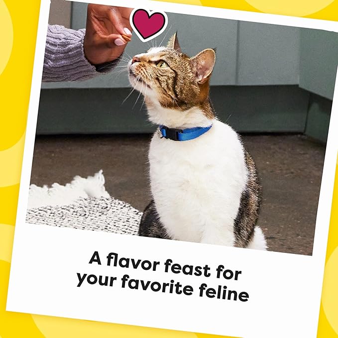 Temptations MixUps Backyard Cookout Flavor Crunchy and Soft Cat Treats, 16 oz. Tub