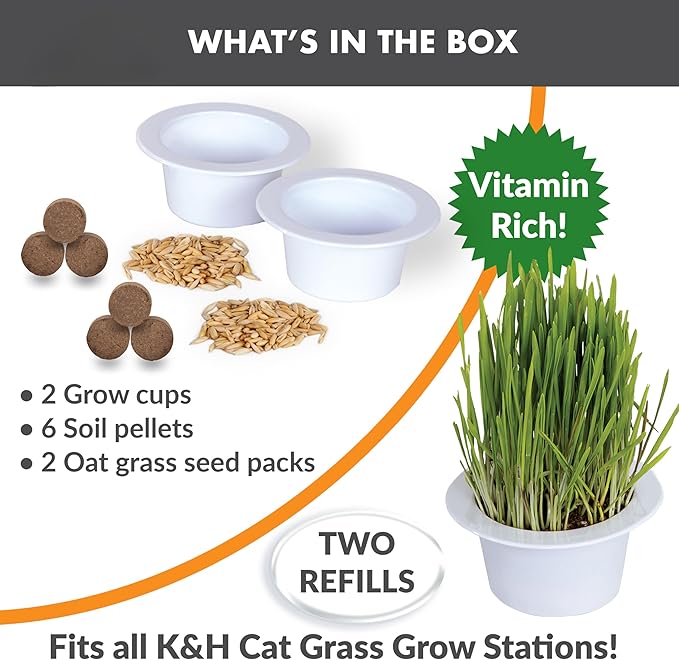 K&H Pet Products Cat Grass Grow Station Growing Cup Refills for K&H EZ Mount Products, Healthy Home Grown Grass Cat Toys for Bored Indoor Adult Kitties, Farmed in USA, Non-GMO - Refill ONLY, 2 Pack