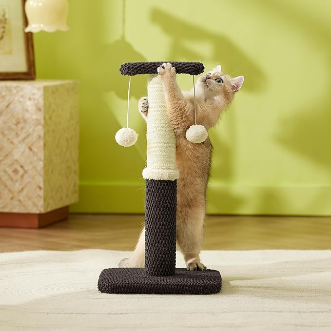 Lesure Cat Scratching Post for Indoor Cats - Highly Resistant Carpet Scratch Posts, Premium Sisal Rope Scratch Posts for Kittens, Sturdy Small Cat Scratch Pole with Hanging Ball, Brown(22.5 inch)