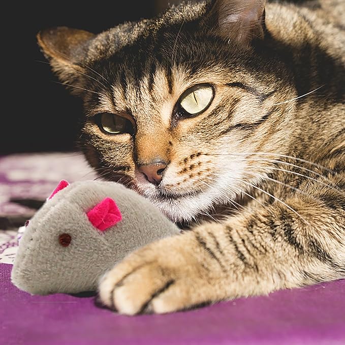 cat Mouse Toy, Rat Stuffed Animal, Mouse Toy,Mint Mouse Toy Suitable for Indoor Cats, Resistant to Biting (24 Piece Set)