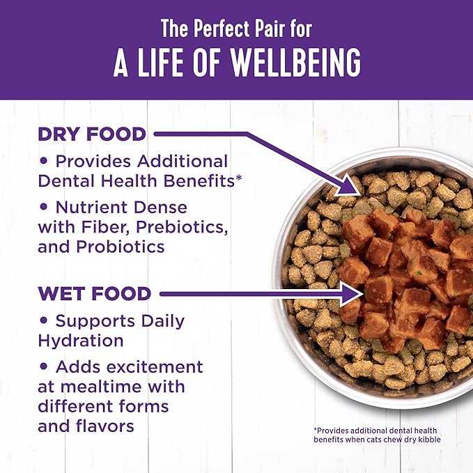 Wellness Complete Health Natural Grain Free Wet Canned Cat Food, Cubed Turkey Entrée in Rich Gravy, 5.5-Ounce Can (Pack of 24)