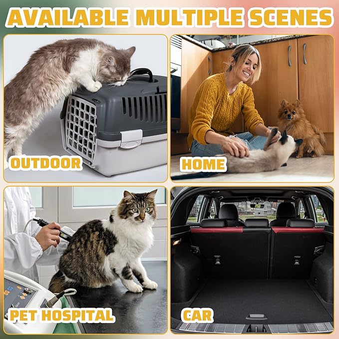Zubebe 50 Pack Disposable Cat Litter Box for Cats, Large Disposable Kitty Litter Tray Box 19.69 x 15.75 x 3.94 inches Plastic Litter Box Pan Standard for Indoor Home Travel Portable(Black)