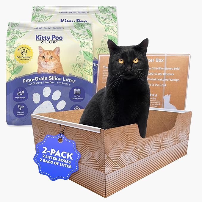 Leakproof Disposable 2-Pack Cat Litter Box with 2 Bags of 6 lbs Litters | Superior Odor Control & Recyclable Design | Perfect for Travel, Multi-Cat Homes & Daily Use — Kitty Poo Club