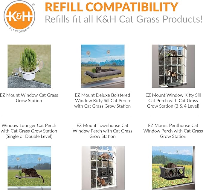 K&H Pet Products Cat Grass Grow Station Growing Cup Refills for K&H EZ Mount Products, Healthy Home Grown Grass Cat Toys for Bored Indoor Adult Kitties, Farmed in USA, Non-GMO - Refill ONLY, 2 Pack