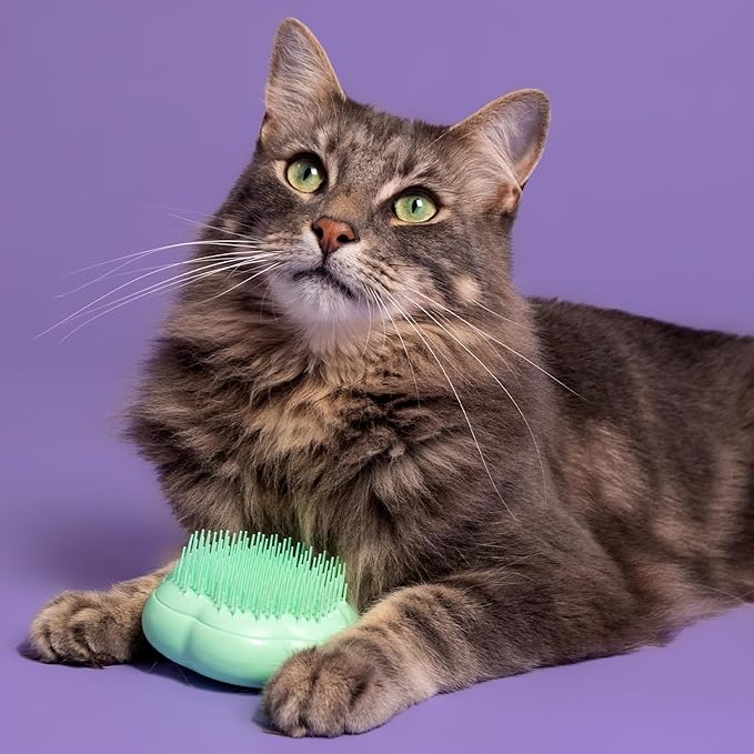 Pet Teezer by Tangle Teezer Cat Brush, De-Shedding Cat Hair Brush for a Gentle, Soothing Groom & Short to Medium Length Fur, Green