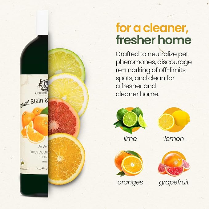 Natural Pet Stain and Odor Remover - Pet Urine Enzyme Cleaner with Dog & Cat Urine Odor Eliminator - Pet Carpet Cleaner Solution with Citrus Oil Blends, 16 oz