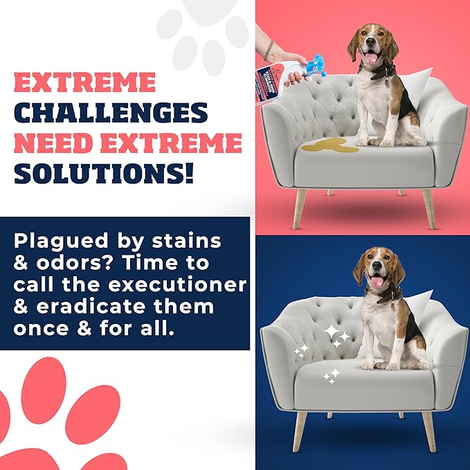 Extreme Strength Pet Stain & Odor Eliminator for Busy Pet Parents | Neutralize Tough Stains & Odors | Orange and Lemon for Deep Clean | Perfect for Cats & Dogs | 2-pk. 20-oz bottles - Nuesta Pets