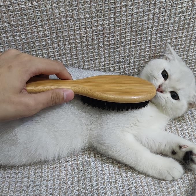 Cat & Dog Brush with Boar Bristle, Professional Grade Daily Grooming Hairbrush for Soft Hair and Healthy Shine, Short Haired Dogs Hair Brush for Reducing Shedding with Brush Cleaner