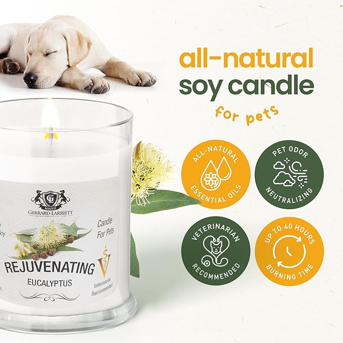 Rejuvenating Eucalyptus Scented Candles for Home Decor and Pet Odor - Aromatherapy Stress Relief Soy Wax Candles - Pet Odor Eliminator for Home - Pet Friendly