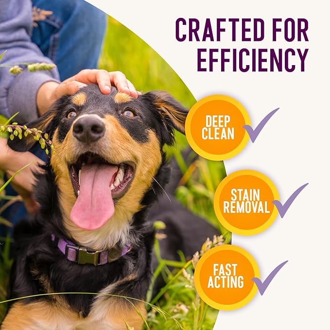 Health Extension Eliminate Enzymatic Stain & Odor Remover, 32 Oz - Natural Ingredients, Safe for Pets & People, Effective on Carpets, Hard Floors, and Pet Bedding