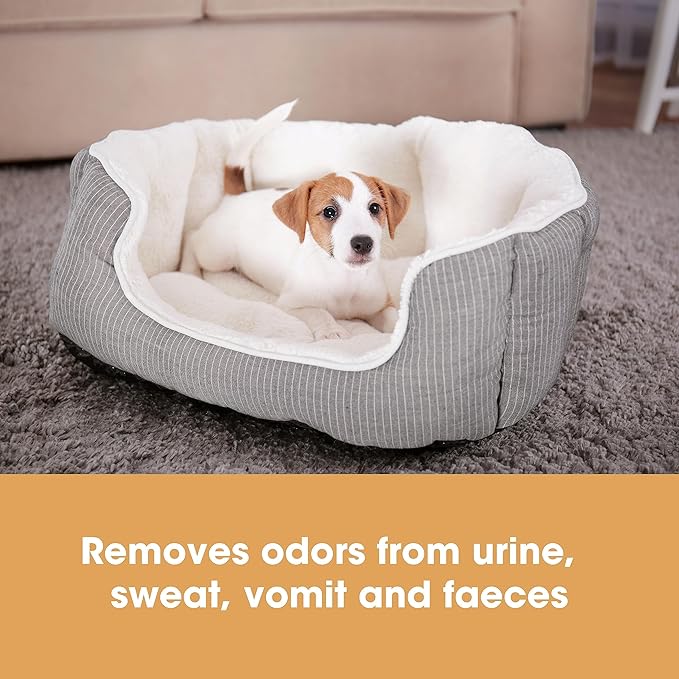 Furniture Clinic Stain & Odor Eliminator | Pee & Vomit Smell Removal for Dog, Cat, Pet and Human Messes & Accidents | Enzyme Activated Spray | Use on Furniture, Carpet, Mattresses & More (5L / 169 Oz)