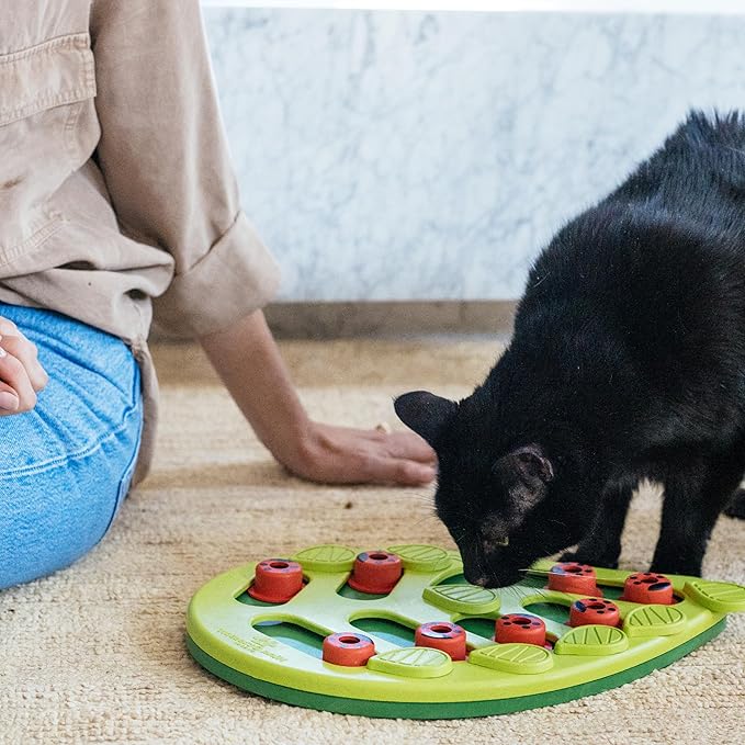 Catstages by Nina Ottosson Buggin' Out Puzzle & Play - Interactive Cat Treat Puzzle