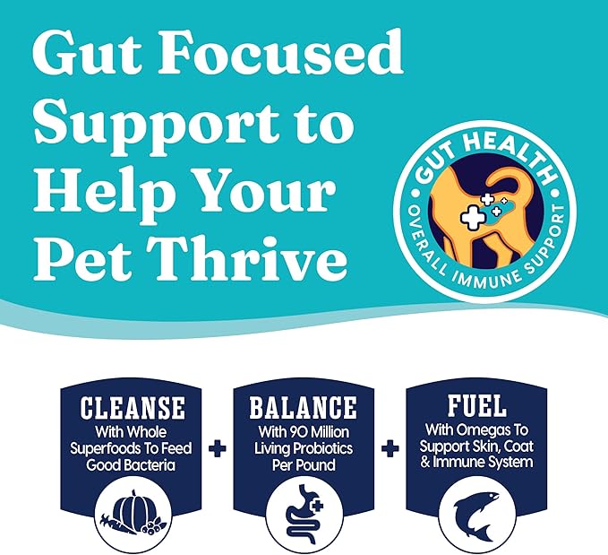 Solid Gold Wet Cat Food Shreds in Gravy - Canned Cat Food Made w/Real Tuna & Shrimp - Five Oceans Grain Free 16ct/6oz Can