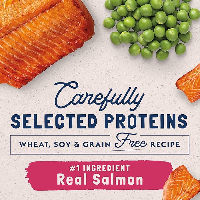 Natural Balance Limited Ingredient Adult Grain-Free Wet Canned Cat Food, Salmon & Green Pea Recipe, 5.5 Ounce (Pack of 24)