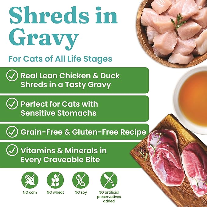 Solid Gold Nature's Harmony Wet Cat Food - Pate & Shreds in Gravy - Real Chicken & Duck Shreds - Canned Cat Food, 24 Pack