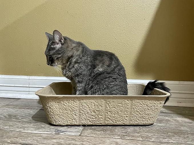 Midlee Large Disposable Cat Litter Boxes - Set of 20- Travel Kitty Tray