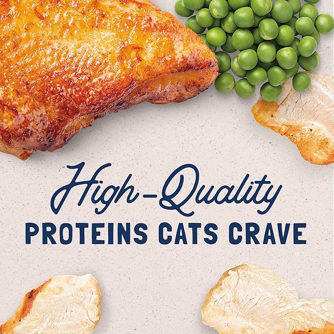 Natural Balance Original Ultra Grain Free Adult Wet Canned Cat Food, Chicken Recipe, 5.5 Ounce (Pack of 24)