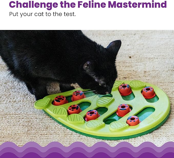 Catstages by Nina Ottosson Buggin' Out Puzzle & Play - Interactive Cat Treat Puzzle