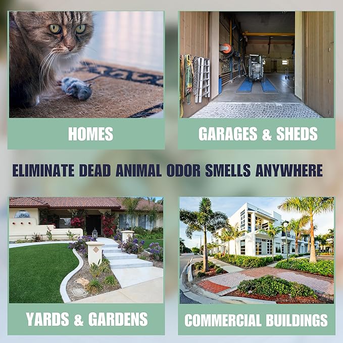 SMELLEZE Dead Animal Odor Eliminator for Strong Odor Removal - Eliminate Dead Rodent & Wildlife Smell - Safe Indoor & Outdoor Use, Natural Odor Remover, Fresh & Effective - 1 Pouch.