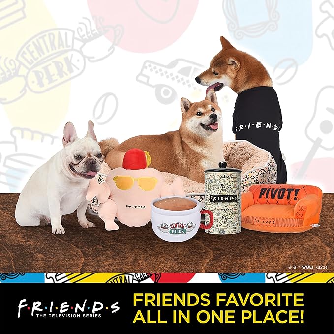 Friends Dog Toy | Gold and Purple Picture Frame from Friends TV Show, Vinyl Rubber Dog Toy | Squeaky Dog Toy - Friends TV Show Merchandise