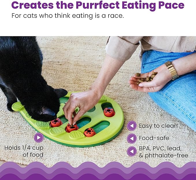 Catstages by Nina Ottosson Buggin' Out Puzzle & Play - Interactive Cat Treat Puzzle