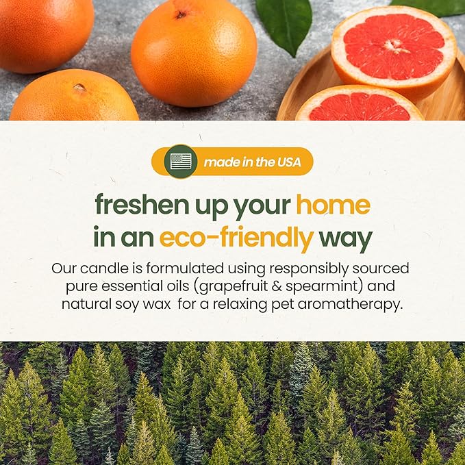 Gerrard Larriett: Energizing Grapefruit & Spearmint Scented Candles for Home Decor and Pet Odor - Aromatherapy Stress Relief Soy Wax Candles - Pet Odor Eliminator for Home - Pet Friendly Candles
