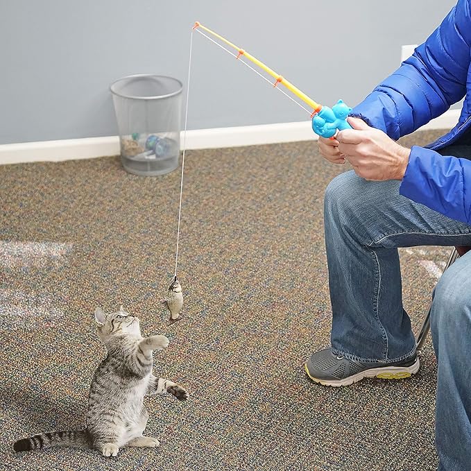 Fairly Odd Novelties Cat Fishing Pole Toy - Funny Interactive Fish Toy for Cats, Kittens, and Small Pets. Giftable Cat Fishing Rod Novelty Gifts, Item, FON-10309, Multi-Colored, 1 Count (Pack of 1)
