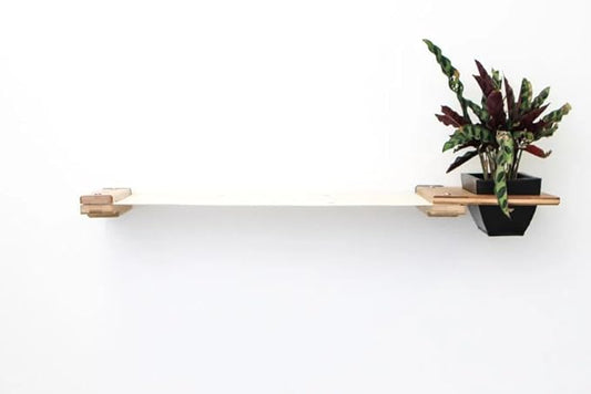 Catastrophic Creations Cat Planter Lounge Cat Hammock — 25-Inch Onyx Bamboo/Natural Canvas— Cat Wall Shelf— Cat Wall Furniture — Cat Climbing Shelves — Cat Floating Shelves — Cat Wall Hammock