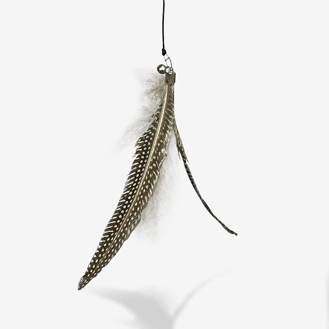 Cat Teaser with Feaders - Retractable - Ergononic with 2 Replacements