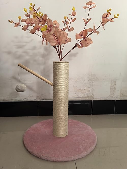 cat Scratching Post