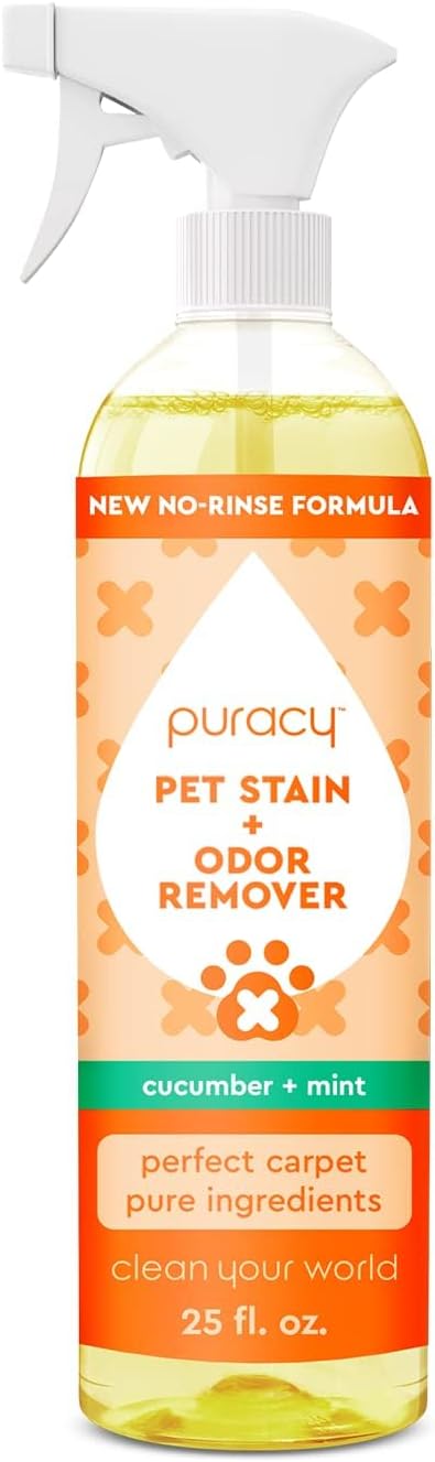 Puracy Natural Pet Stain and Odor Remover Plant-Powered Professional Pet Urine Odor Eliminator with Natural Enzymes Safe and Effective Carpet Pet Stain Remover and Cleaner, Cucumber & Mint, 25oz