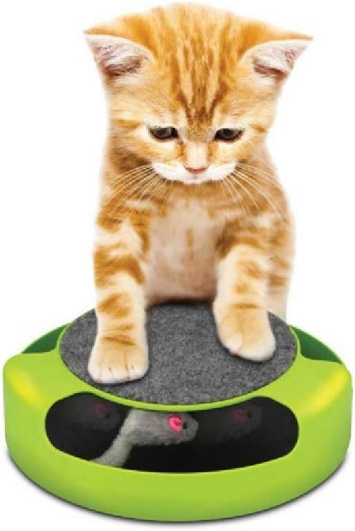 Smart Living 12010949 Feline Frenzy PET Game, White